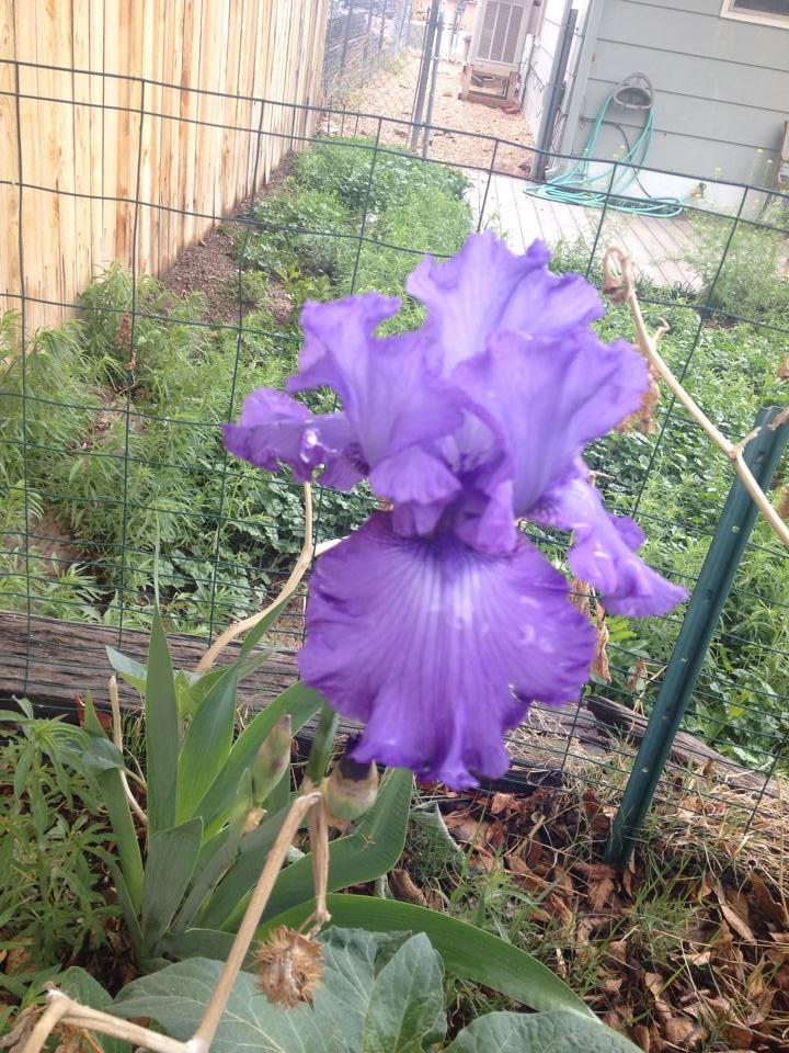 1601223_10204227374429303_4945241394920178114_n