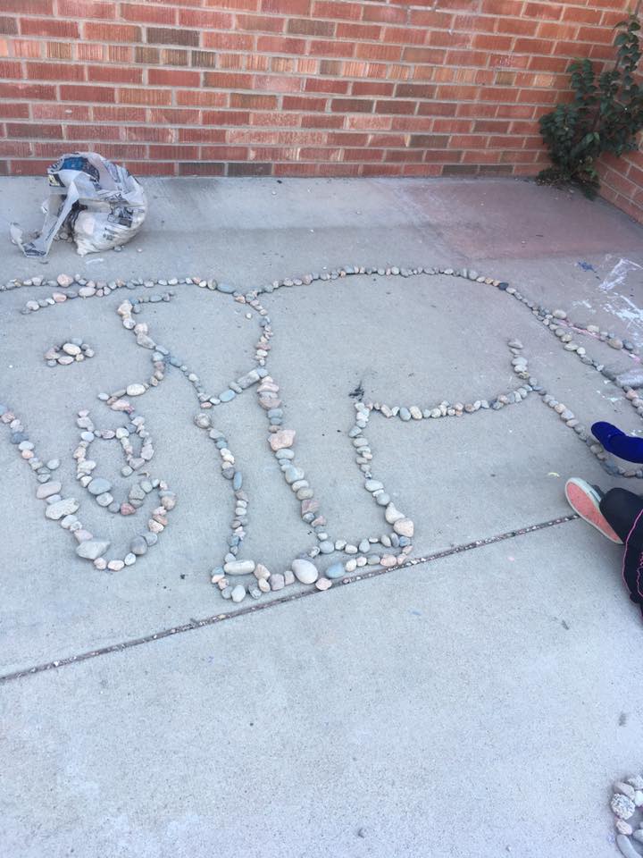 42489202_10212827403584657_3551009051150123008_n